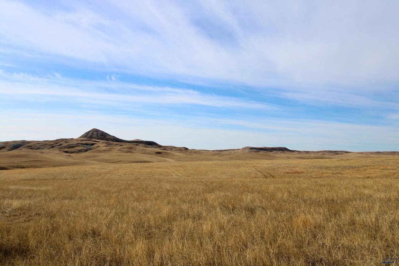 Parcel #38 Cisco Ln - Photo 1