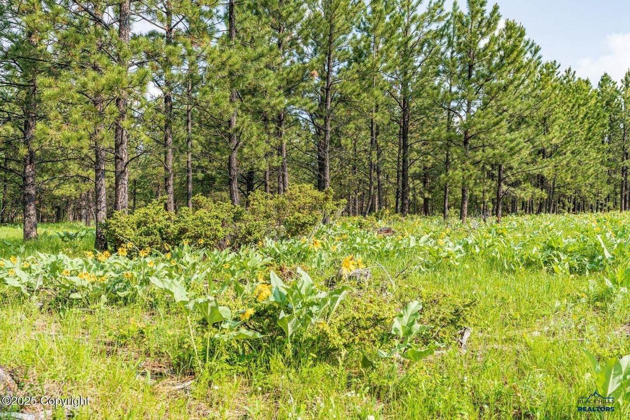 TBD Quarry Rd - Photo 1