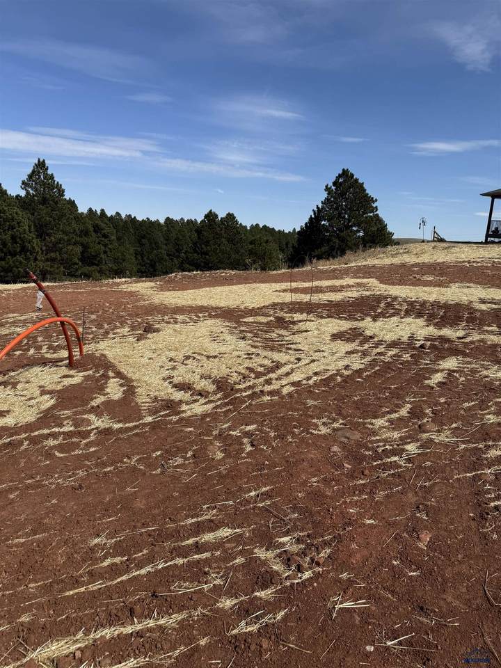 5924 Wind River Rd - Photo 1