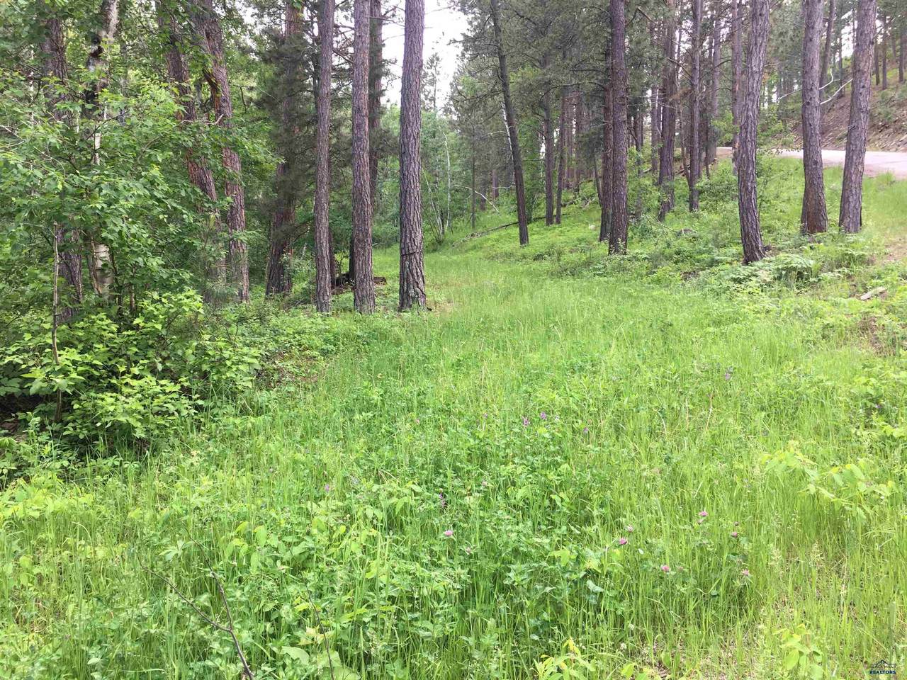 0 Danube Ln - Photo 1