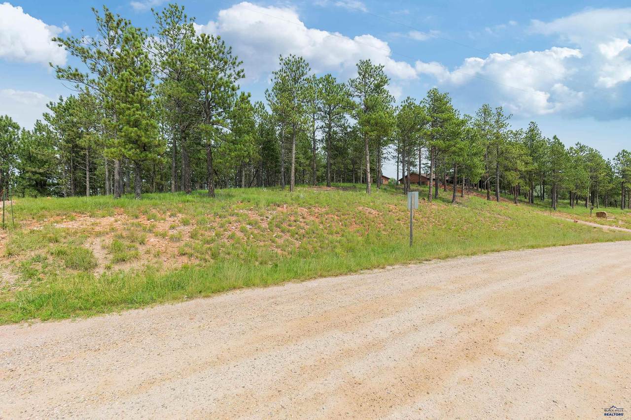 TBD Borglum Rd - Photo 1