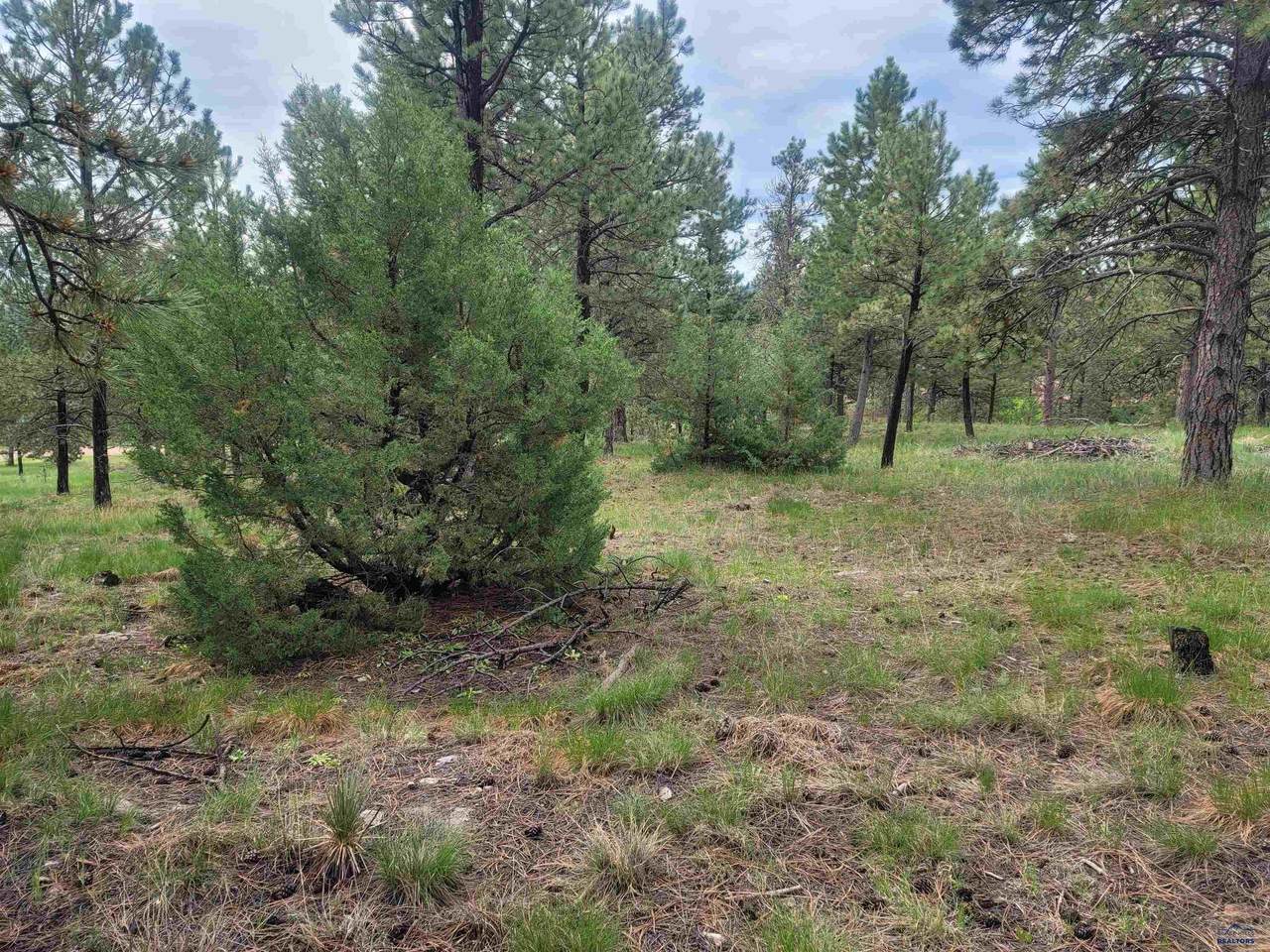 24653 Outback Trail - Photo 1