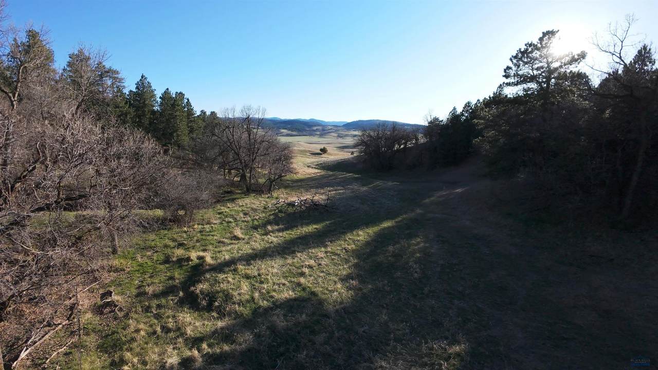 7C TBD Kissack Rd - Photo 1