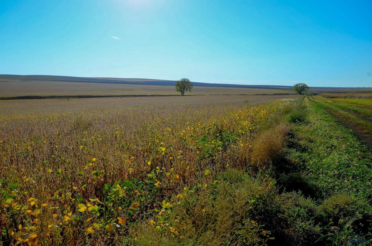 160 AC 236TH ST - Photo 1