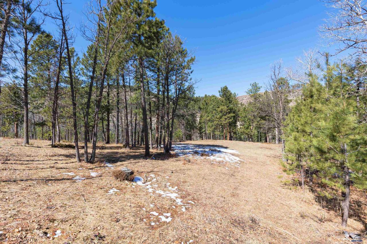 Lot 21A Elk View Loop - Photo 1