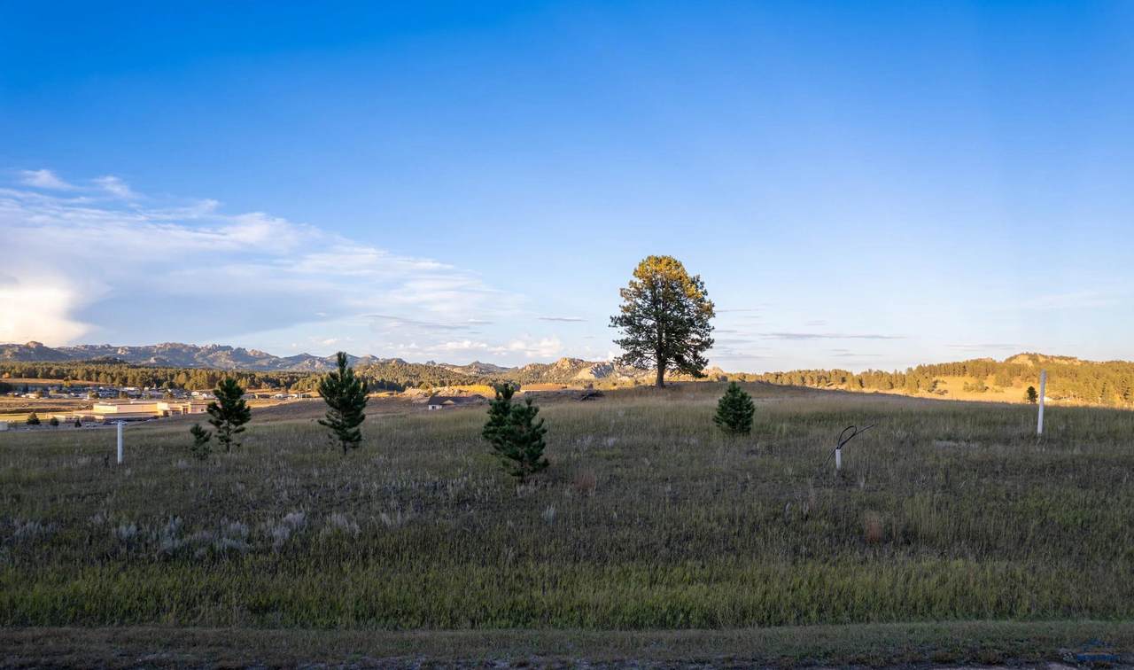 https://bt-photos.global.ssl.fastly.net/blackhills/1280_boomver_1_176789-2.jpg