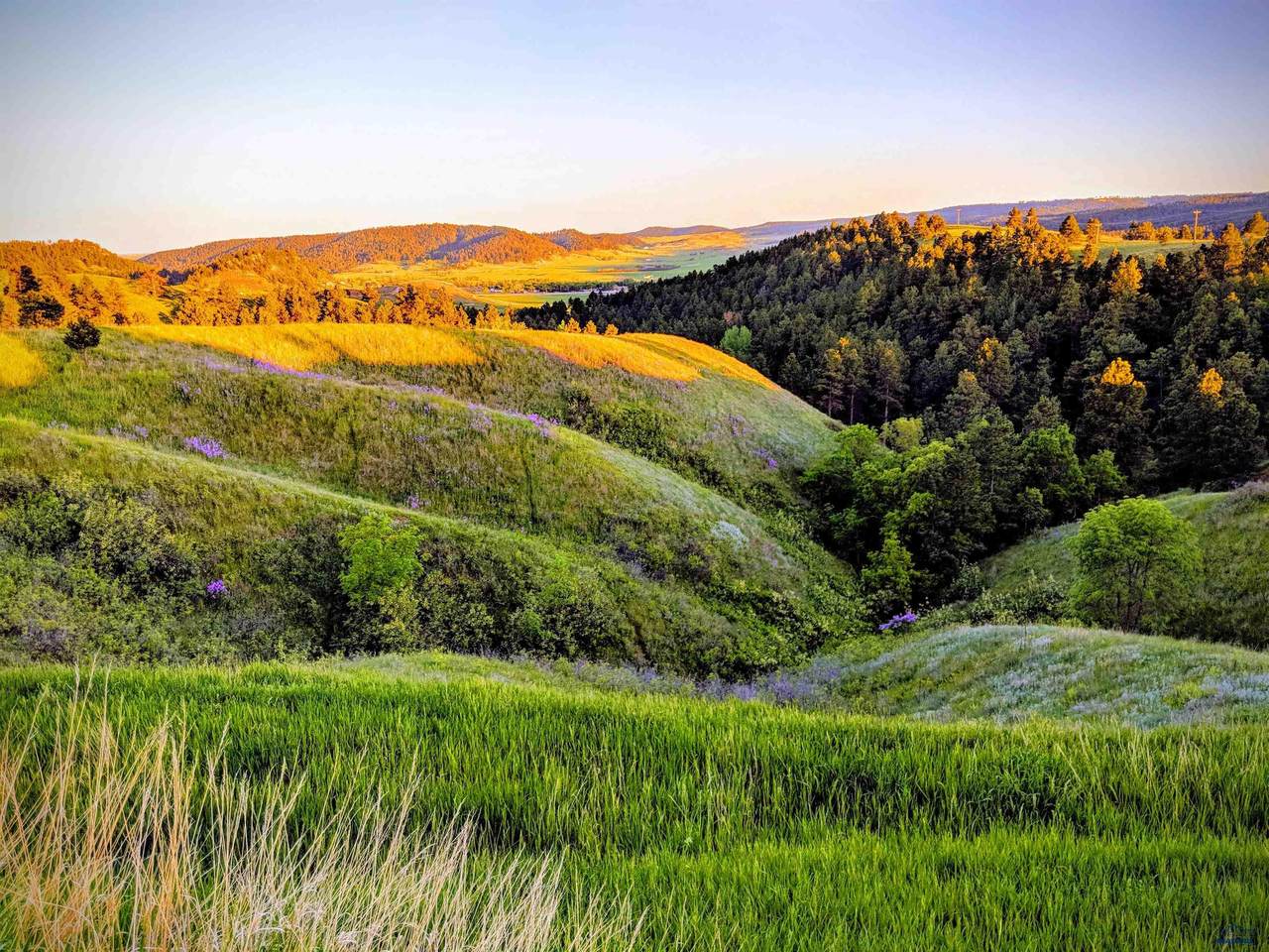 TBD Moon Meadows Dr - Photo 1