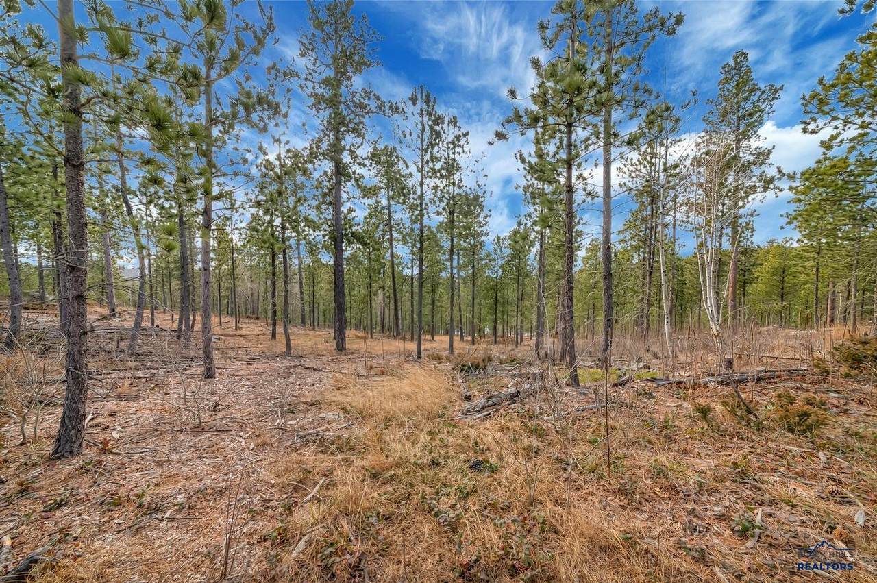 TBD Lofty Pines Ct - Photo 1