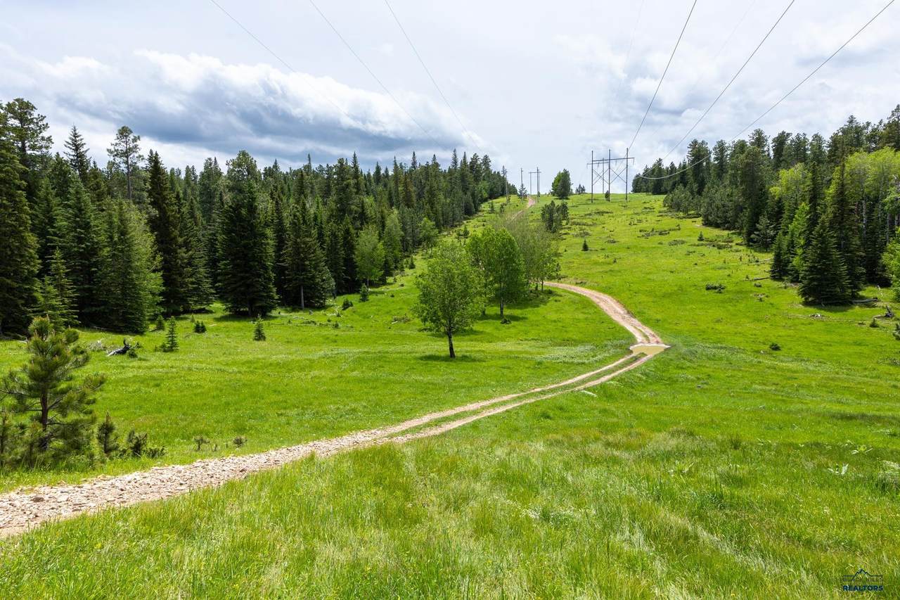 231.68 Acres White Forest Rd - Photo 1