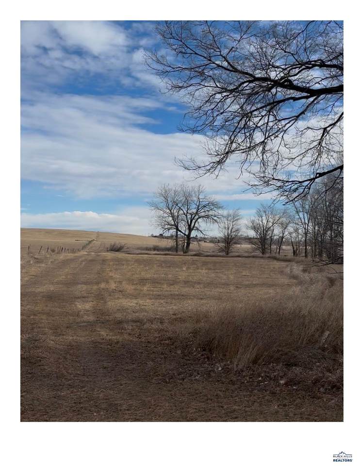 2920 Anderson Rd - Photo 1