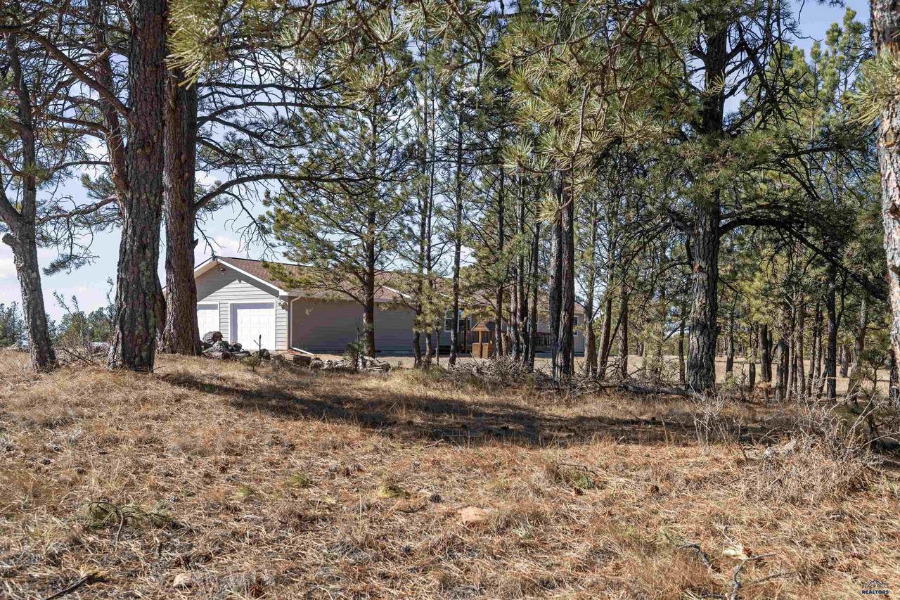 11981 Mountain Lion Ln - Photo 1