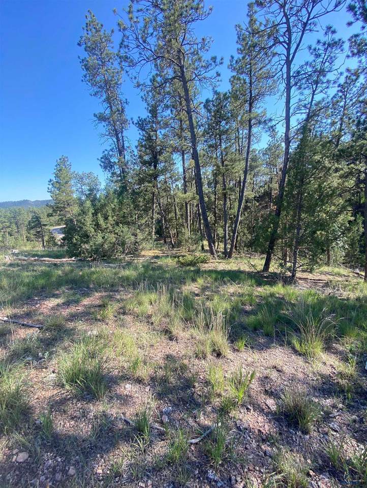 lot GC-57 Sandpiper Dr - Photo 1