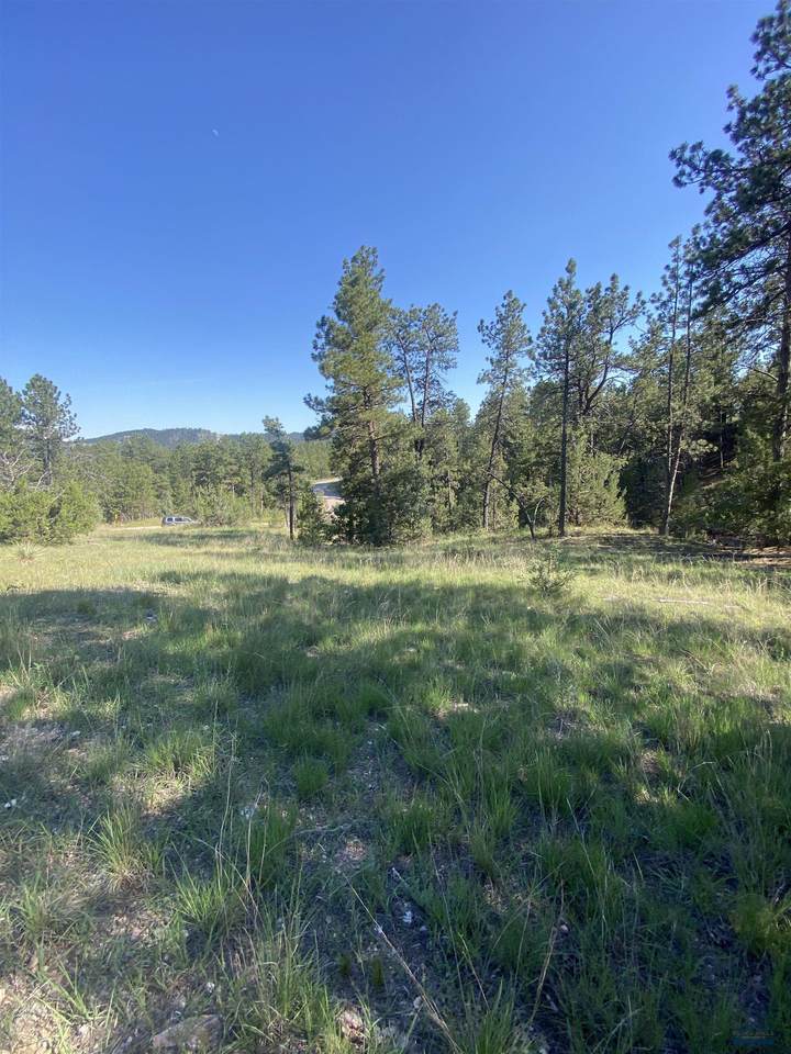 https://bt-photos.global.ssl.fastly.net/blackhills/1280_boomver_1_177801-2.jpg