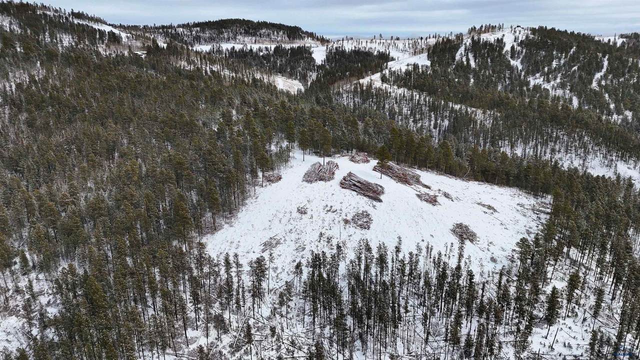 Lot 191 Deer Mountain - Photo 1