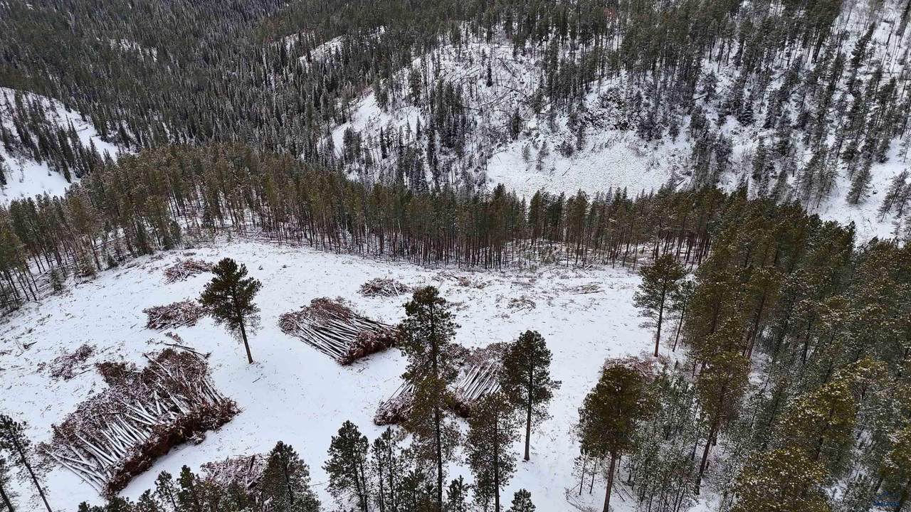 https://bt-photos.global.ssl.fastly.net/blackhills/1280_boomver_1_177942-2.jpg