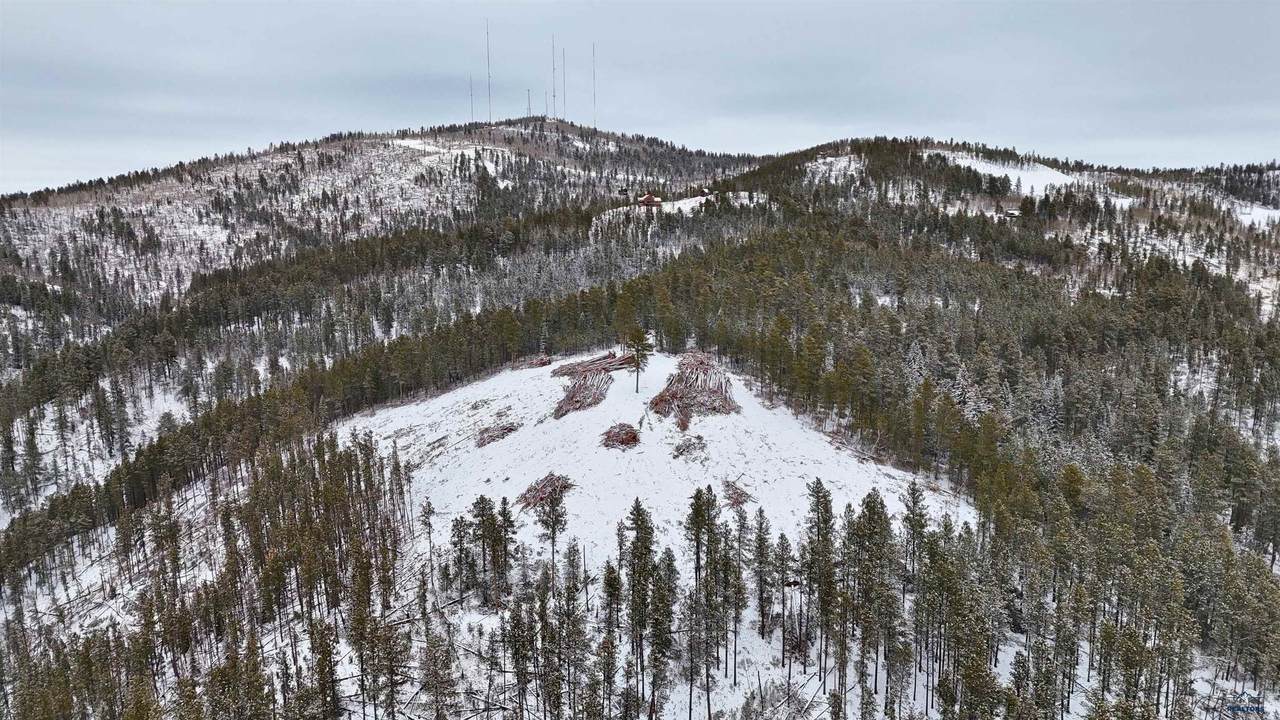 Lot 193 Deer Mountain - Photo 1