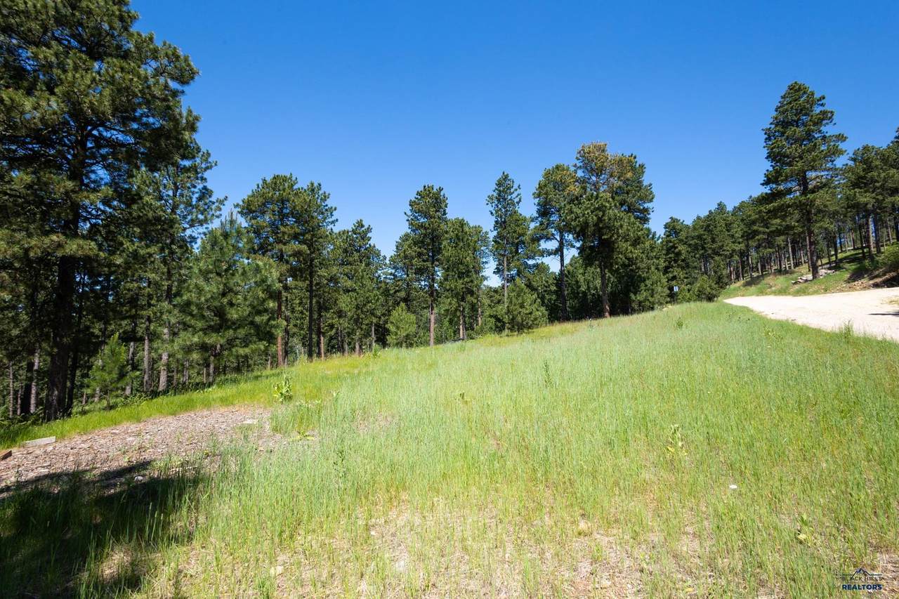 https://bt-photos.global.ssl.fastly.net/blackhills/1280_boomver_1_178290-2.jpg