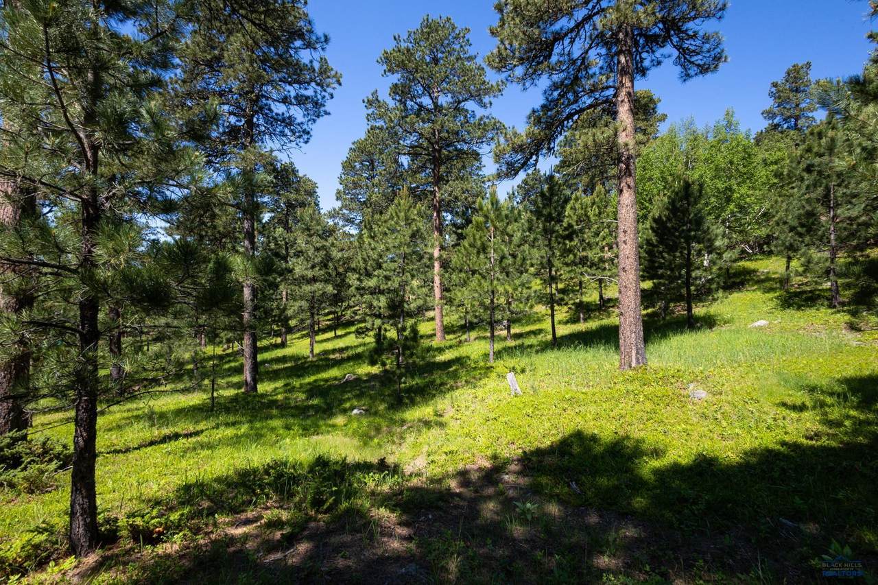 https://bt-photos.global.ssl.fastly.net/blackhills/1280_boomver_1_178291-2.jpg