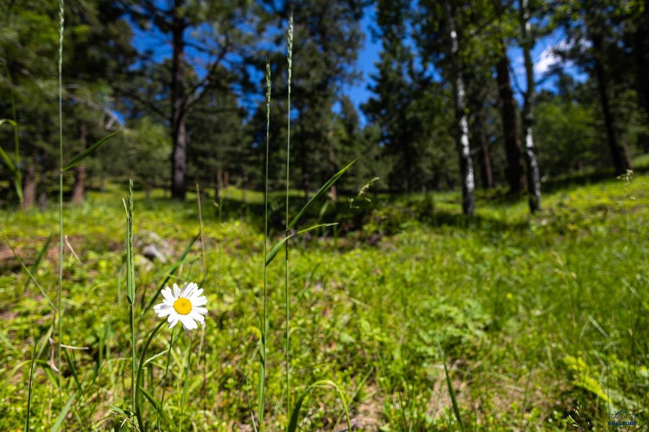https://bt-photos.global.ssl.fastly.net/blackhills/1280_boomver_1_178291-2.jpg
