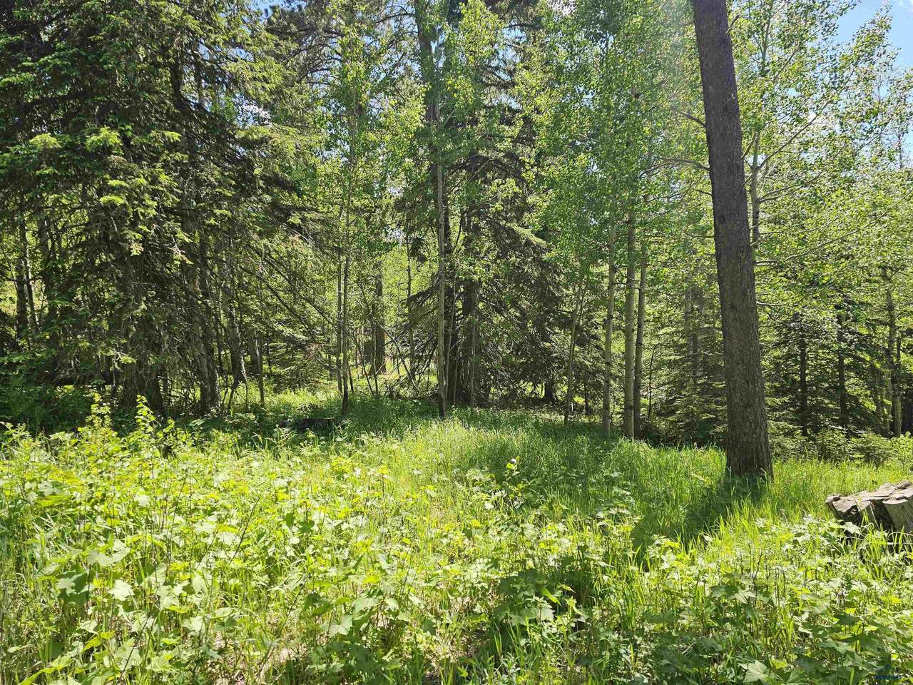 https://bt-photos.global.ssl.fastly.net/blackhills/1280_boomver_1_178317-2.jpg