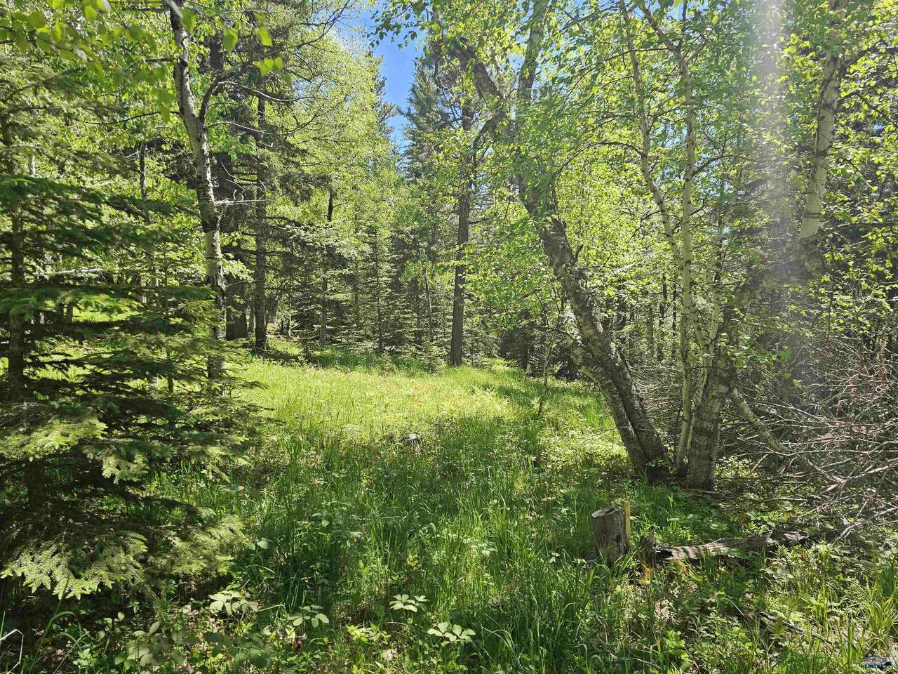 https://bt-photos.global.ssl.fastly.net/blackhills/1280_boomver_1_178317-2.jpg