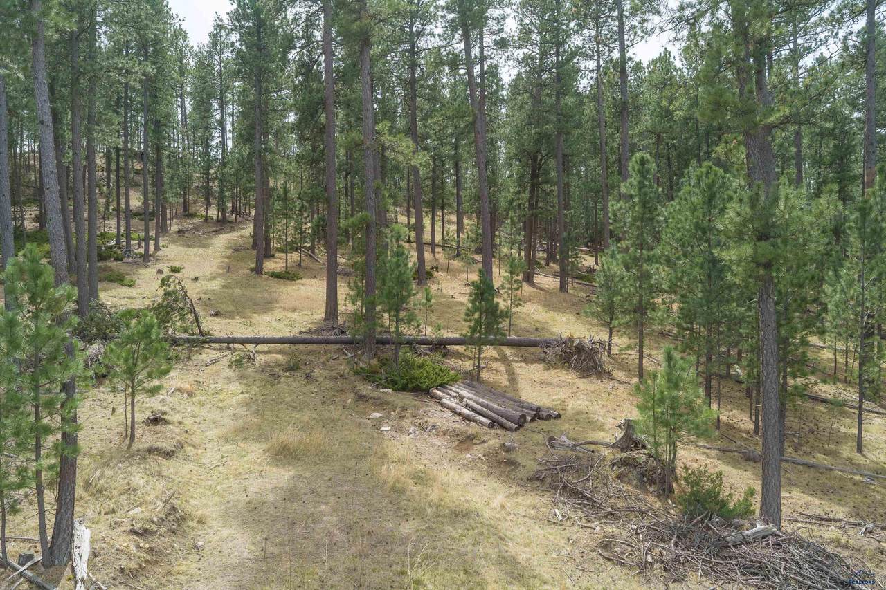 https://bt-photos.global.ssl.fastly.net/blackhills/1280_boomver_1_178620-2.jpg