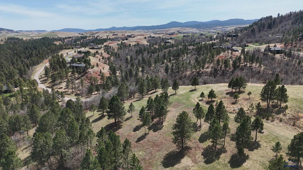 Lot 12C Woodland Dr - Photo 1