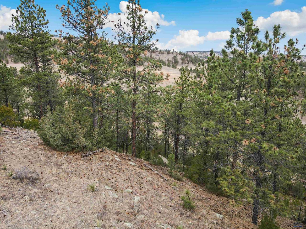https://bt-photos.global.ssl.fastly.net/blackhills/1280_boomver_1_178689-2.jpg