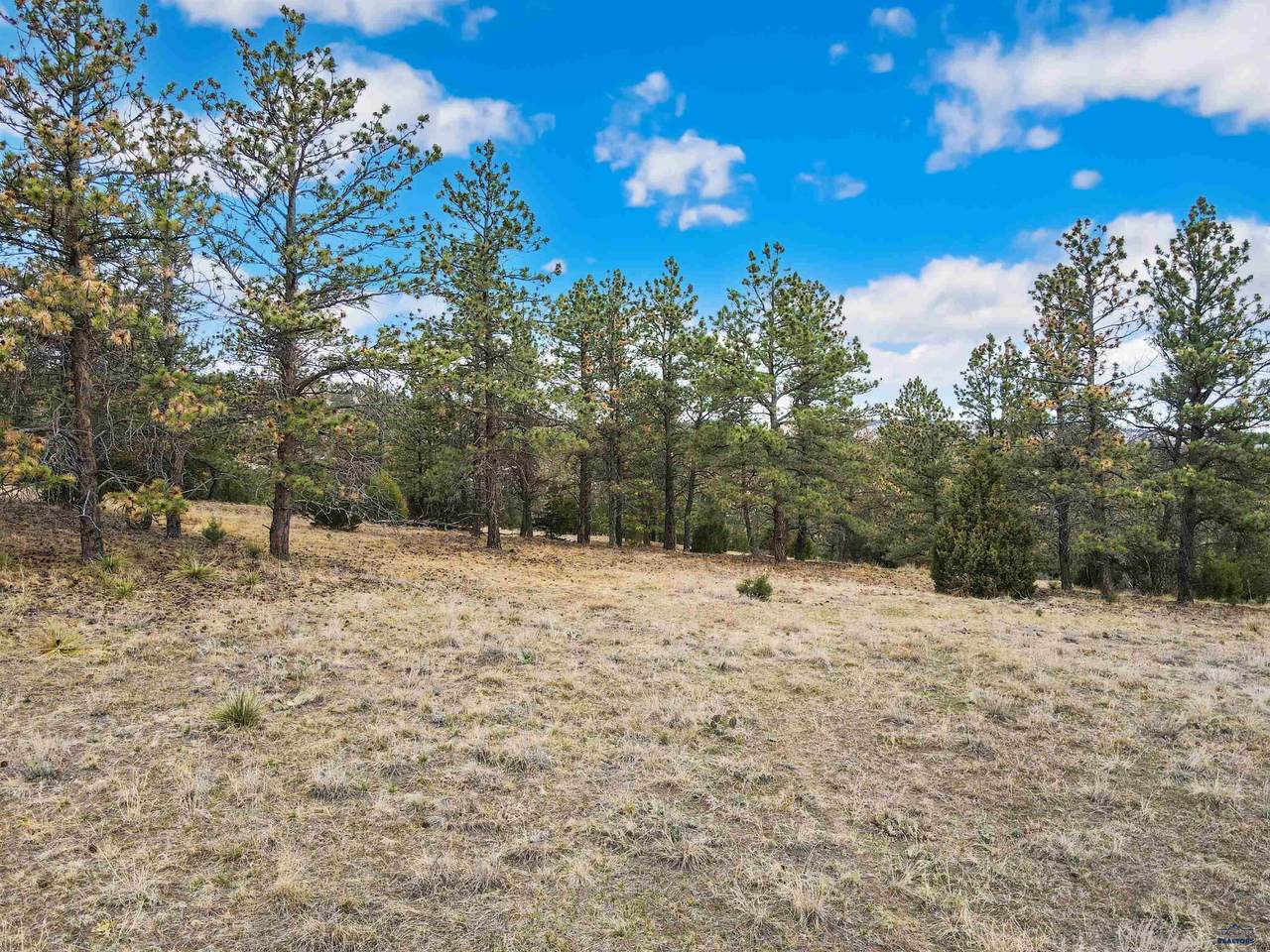Lot 5 Lake Hills Rd - Photo 1