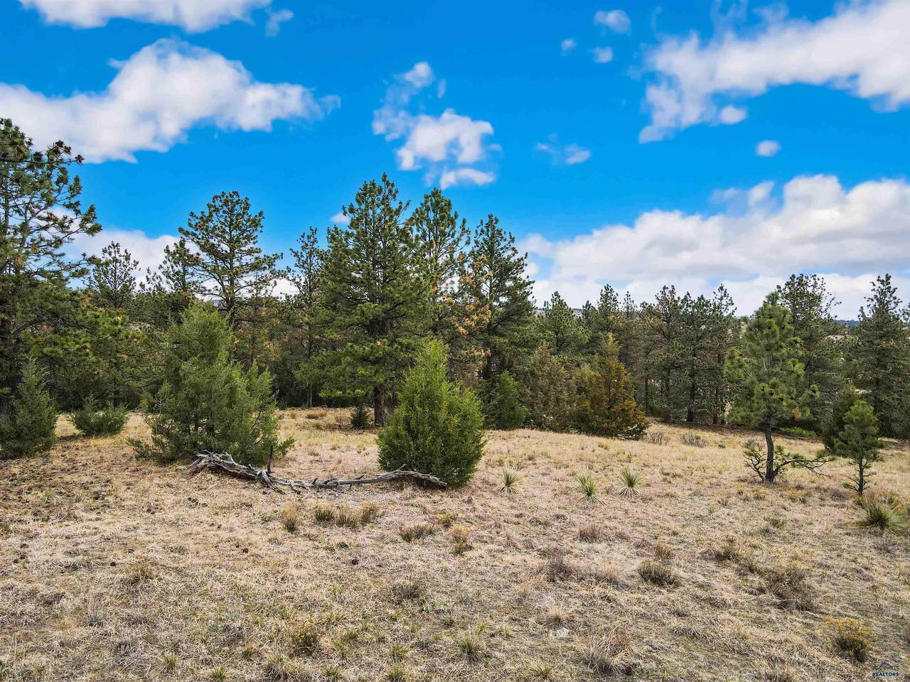 https://bt-photos.global.ssl.fastly.net/blackhills/1280_boomver_1_178690-2.jpg