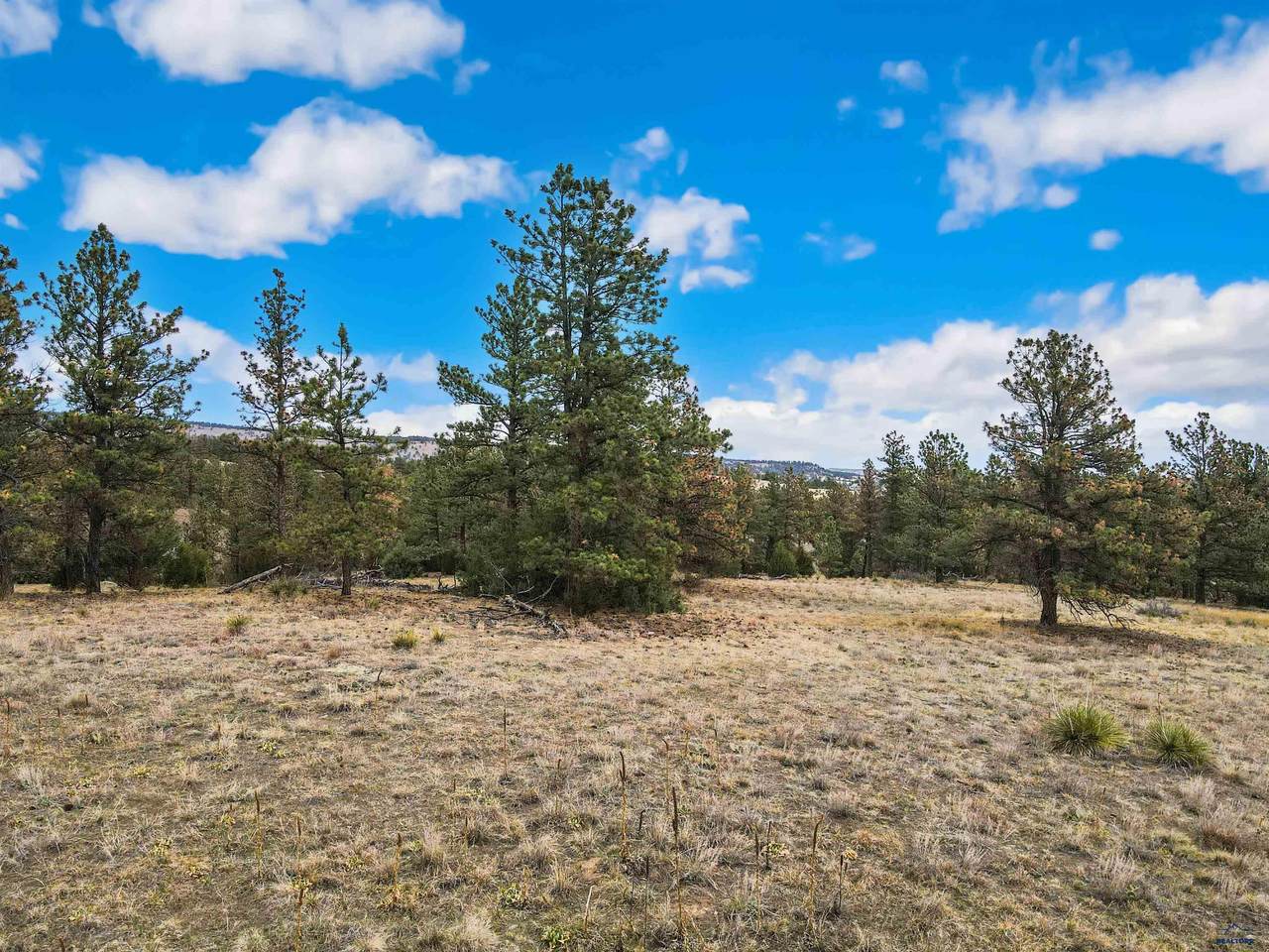 https://bt-photos.global.ssl.fastly.net/blackhills/1280_boomver_1_178690-2.jpg
