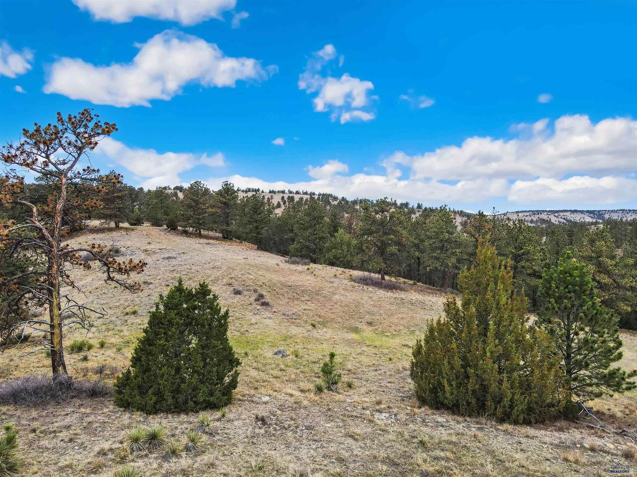 https://bt-photos.global.ssl.fastly.net/blackhills/1280_boomver_1_178695-2.jpg