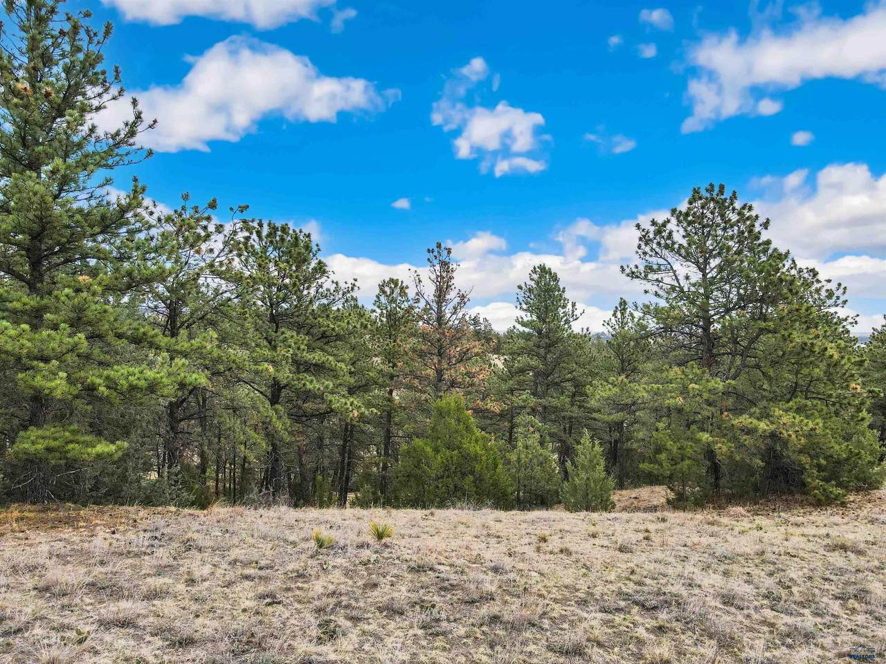 https://bt-photos.global.ssl.fastly.net/blackhills/1280_boomver_1_178695-2.jpg