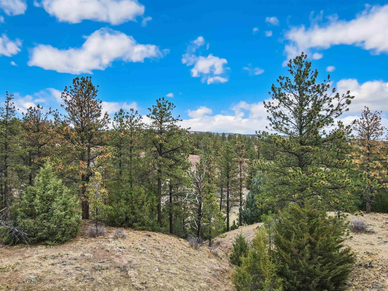 Lot 6 Lake Hills Rd - Photo 1