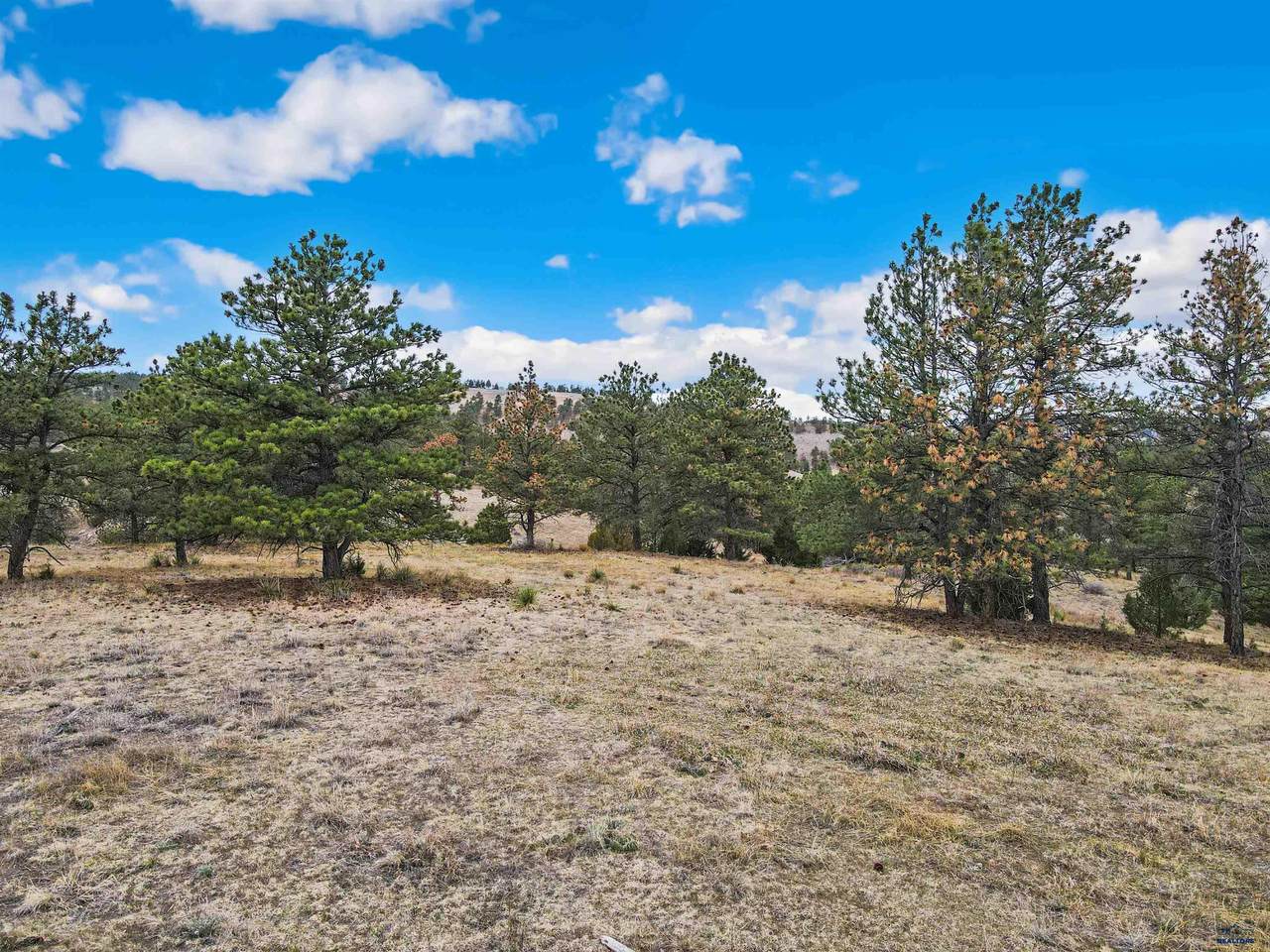 https://bt-photos.global.ssl.fastly.net/blackhills/1280_boomver_1_178702-2.jpg