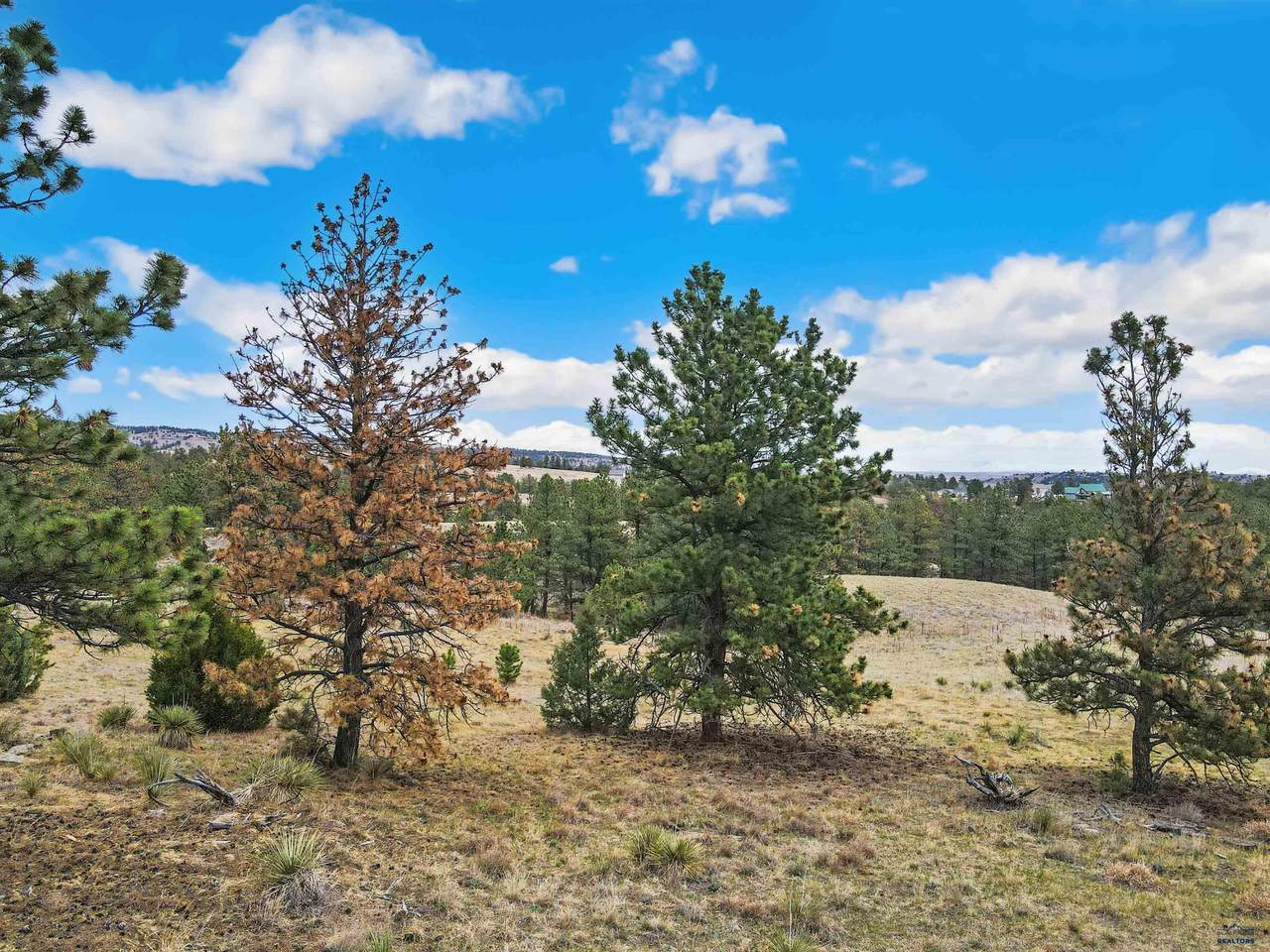 https://bt-photos.global.ssl.fastly.net/blackhills/1280_boomver_1_178702-2.jpg