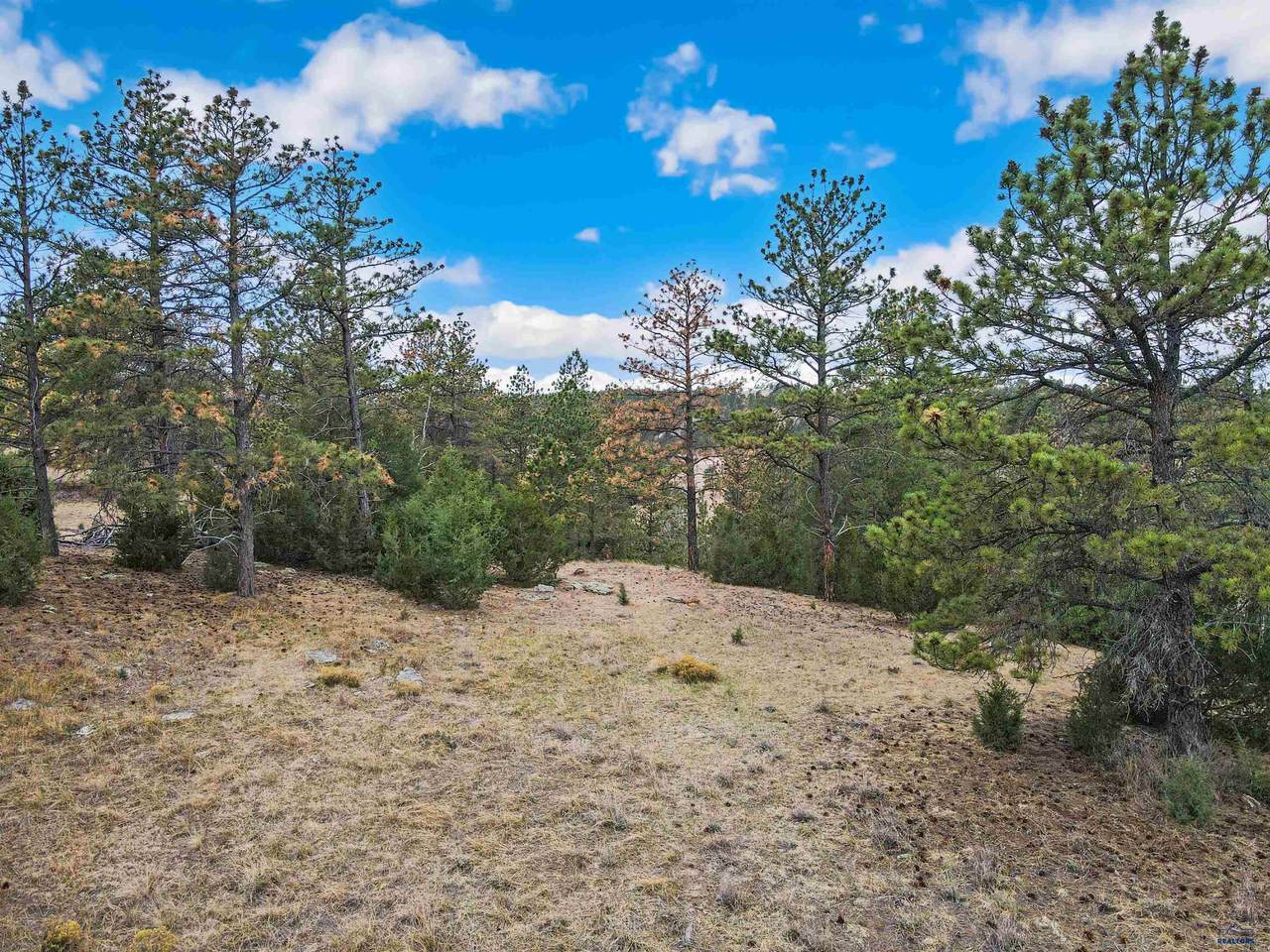 Lot 8 Lake Hills Rd - Photo 1