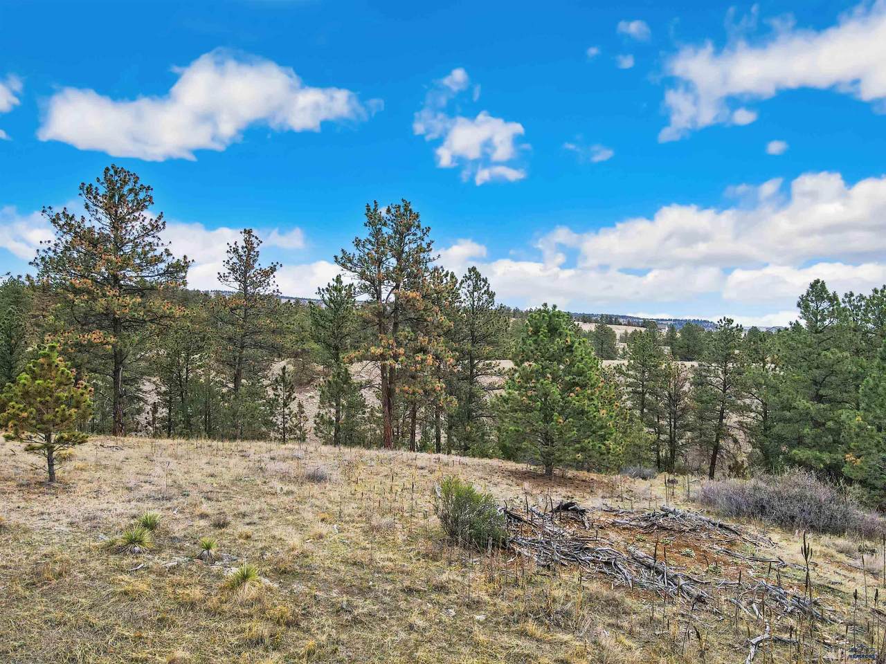 https://bt-photos.global.ssl.fastly.net/blackhills/1280_boomver_1_178704-2.jpg
