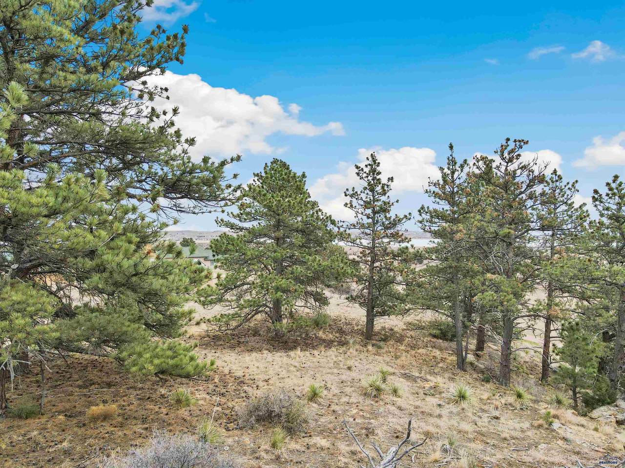 https://bt-photos.global.ssl.fastly.net/blackhills/1280_boomver_1_178708-2.jpg