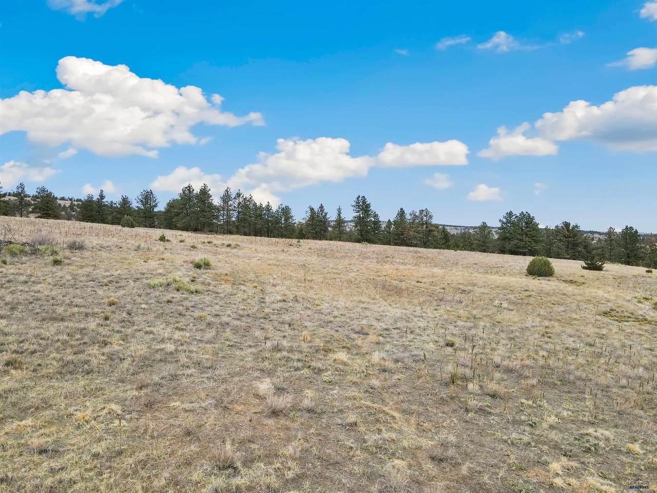 Lot 17 Lake Hills Rd - Photo 1