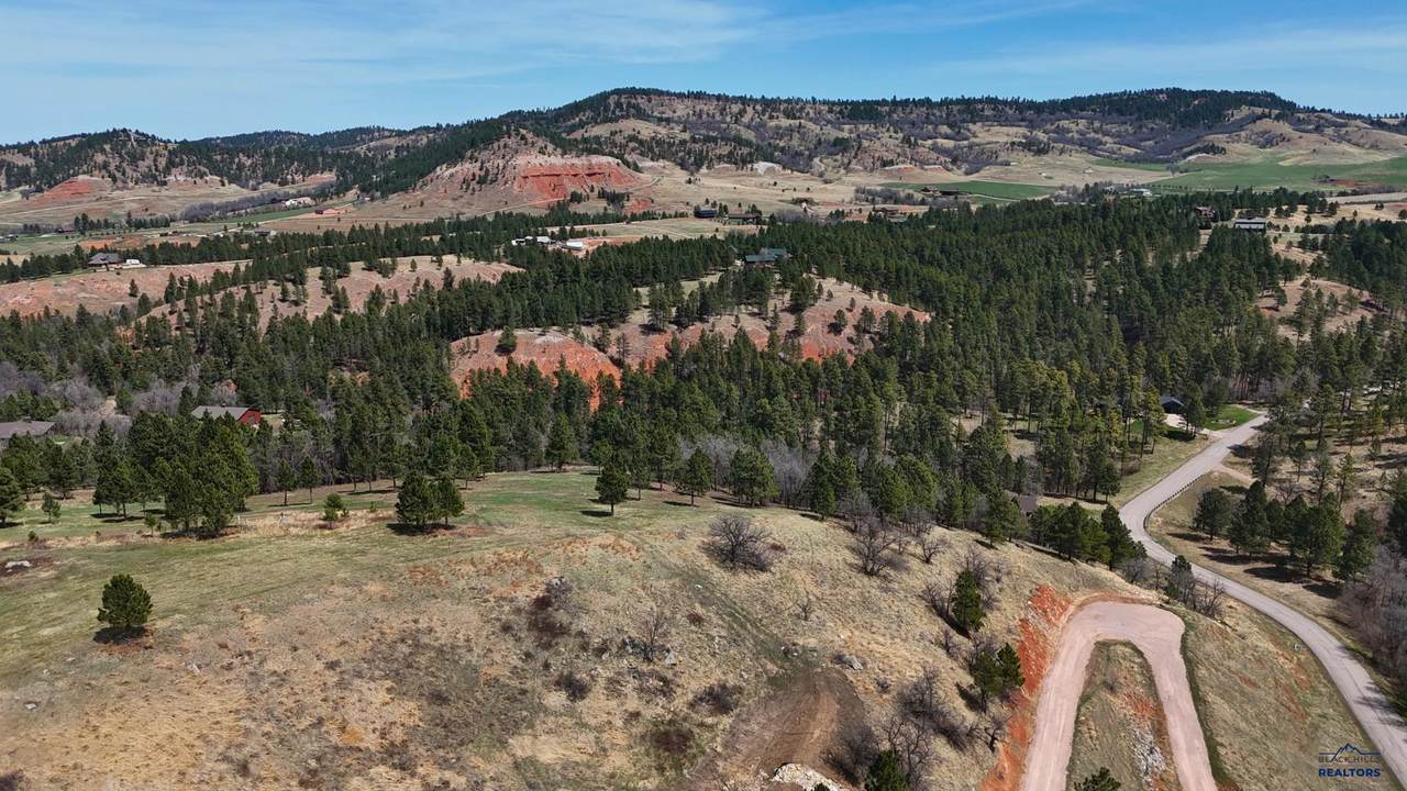 Lot 12D Woodland Dr - Photo 1