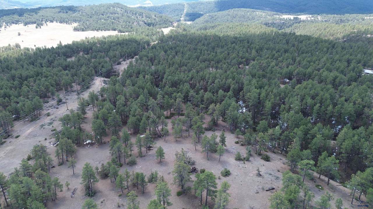 https://bt-photos.global.ssl.fastly.net/blackhills/1280_boomver_1_178844-2.jpg