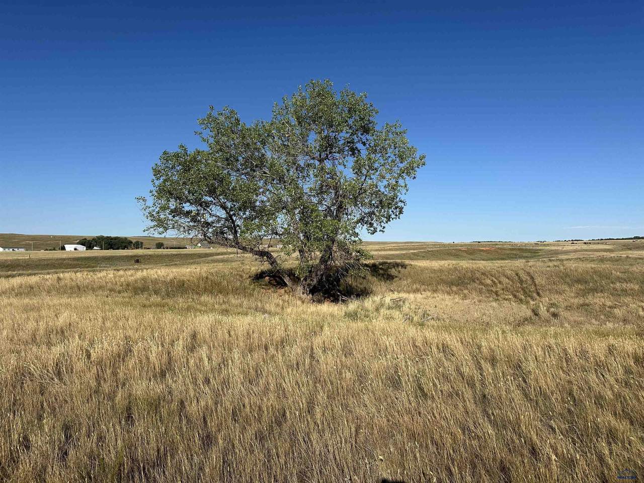 https://bt-photos.global.ssl.fastly.net/blackhills/1280_boomver_1_179090-2.jpg