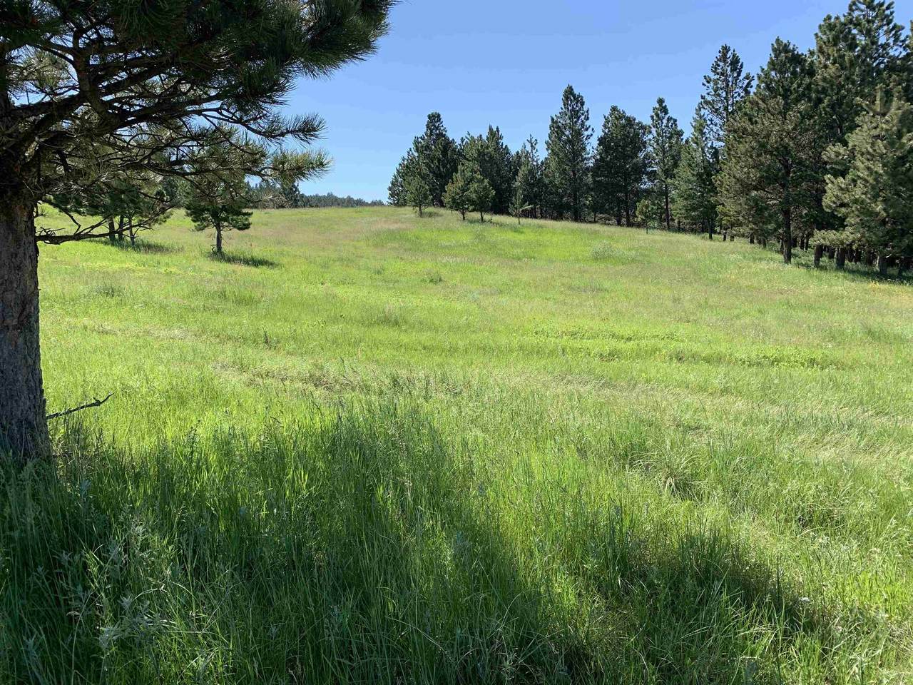 LOT 32 Prairie View Loop - Photo 1