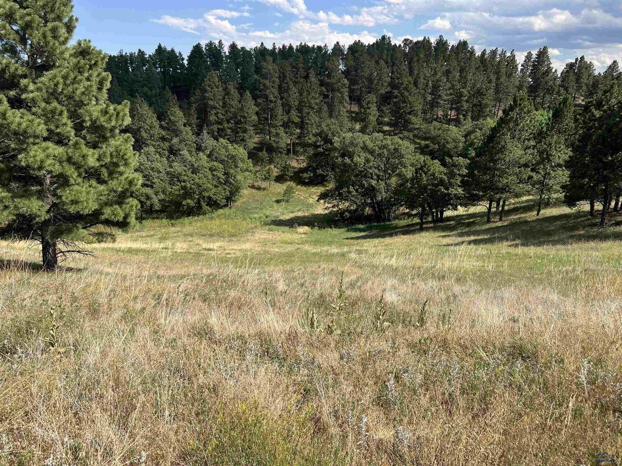 https://bt-photos.global.ssl.fastly.net/blackhills/orig_boomver_2_171691-2.jpg