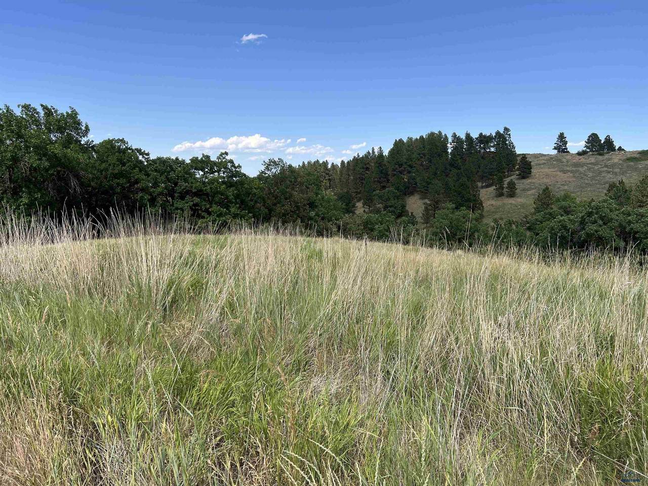 https://bt-photos.global.ssl.fastly.net/blackhills/1280_boomver_2_171732-2.jpg