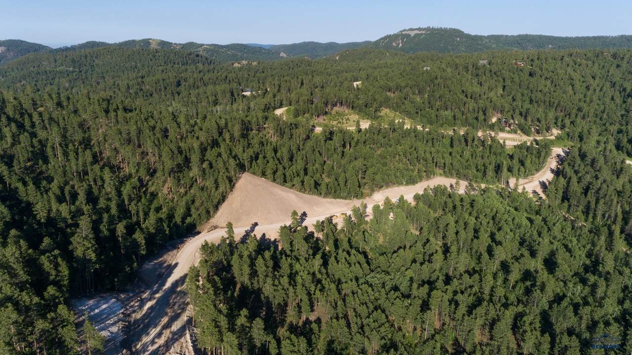 Lot 102 Paradise Gulch Loop - Photo 1