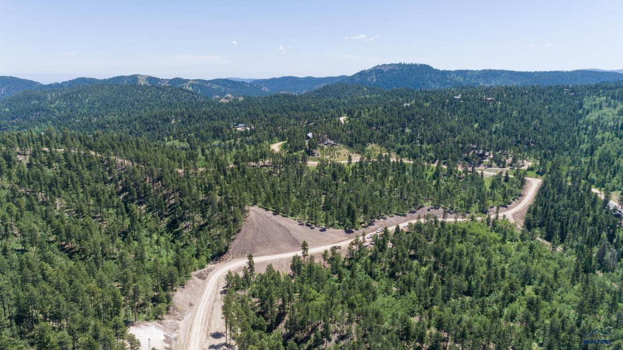 Lot 115B Paradise Gulch Loop - Photo 1