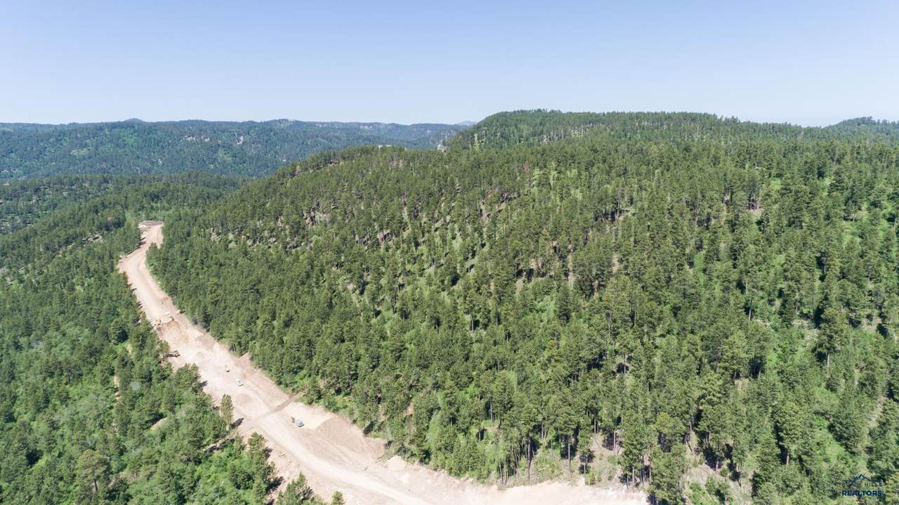 Lot 125 Paradise Gulch Loop - Photo 1