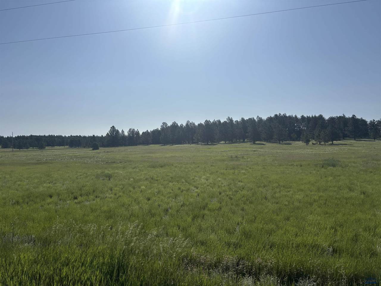 Lot 13 Harriet Ward Rd - Photo 1